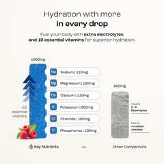 Electrolyte Recovery Plus Powder (Sugar-Free)